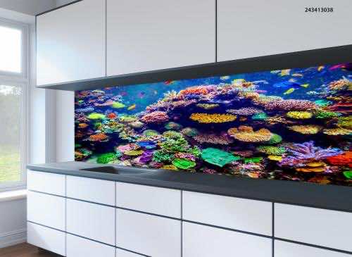 Kitchen splashbacks