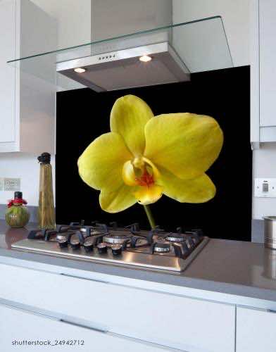 cooker-2021-02-09-20