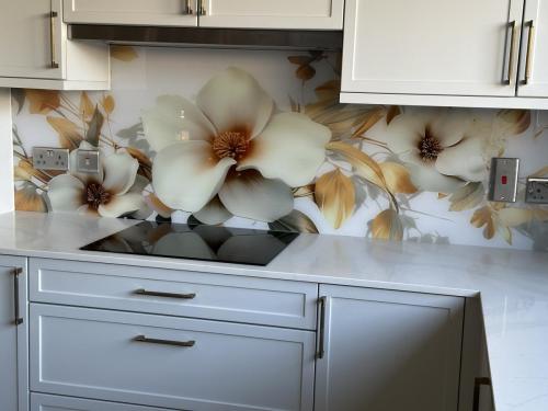 Kitchen splashbacks